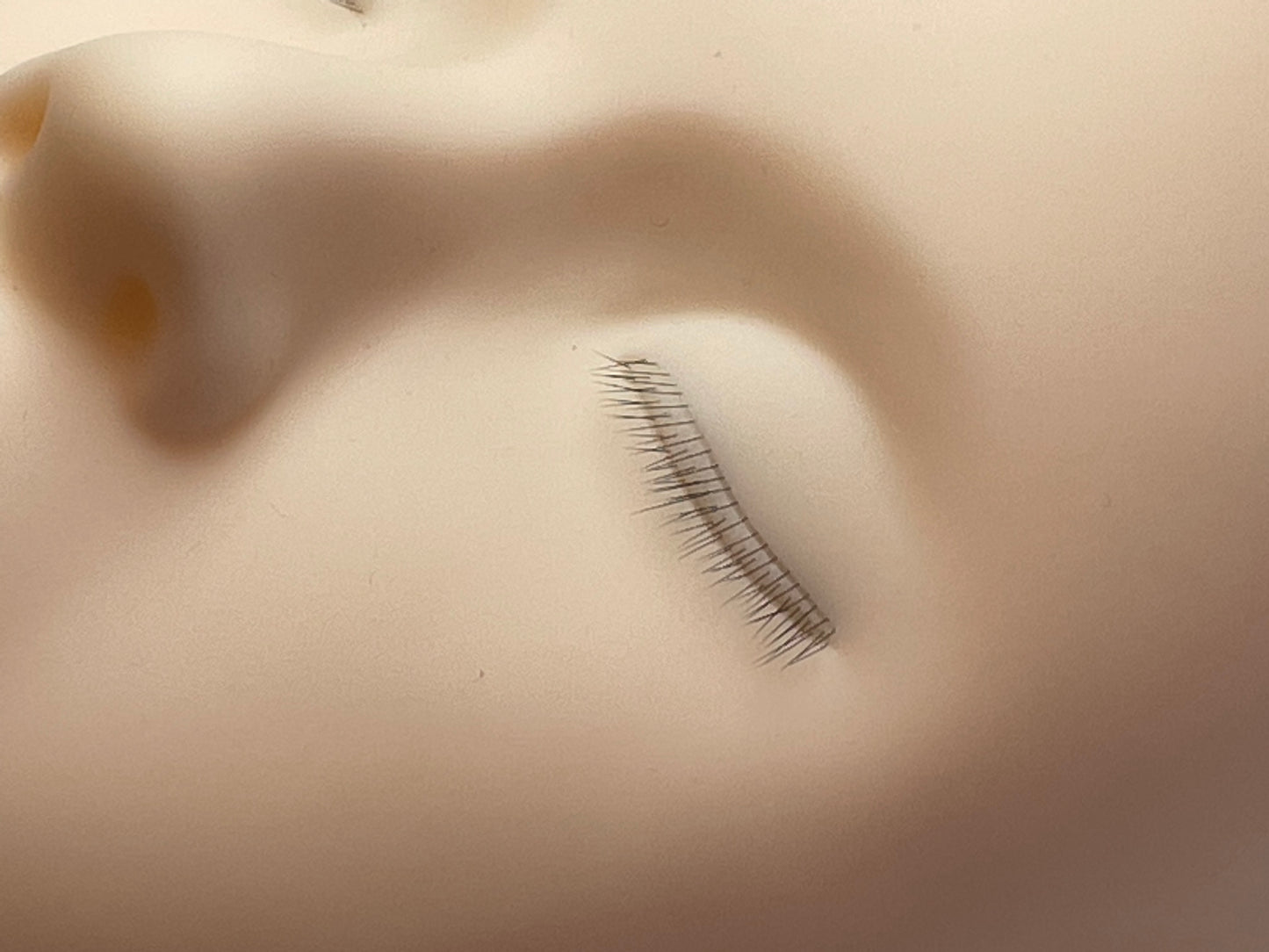 Mannequin Head